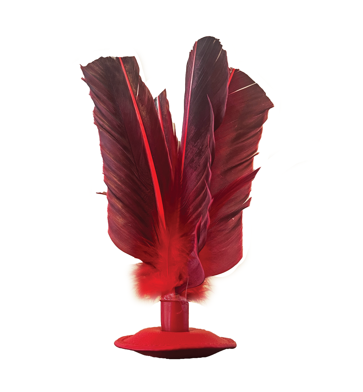 Kickit Soccer Birdie | MaestroShuttlecock Kicking Inspired by